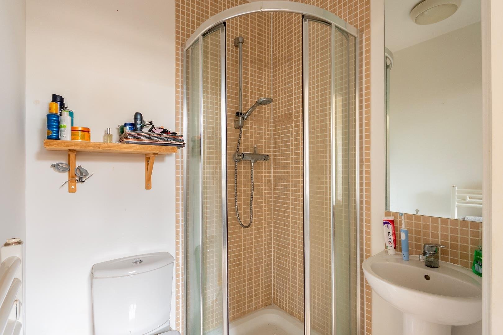 Hudds vale road st george 34425073 0 t9 owsg ensuite a