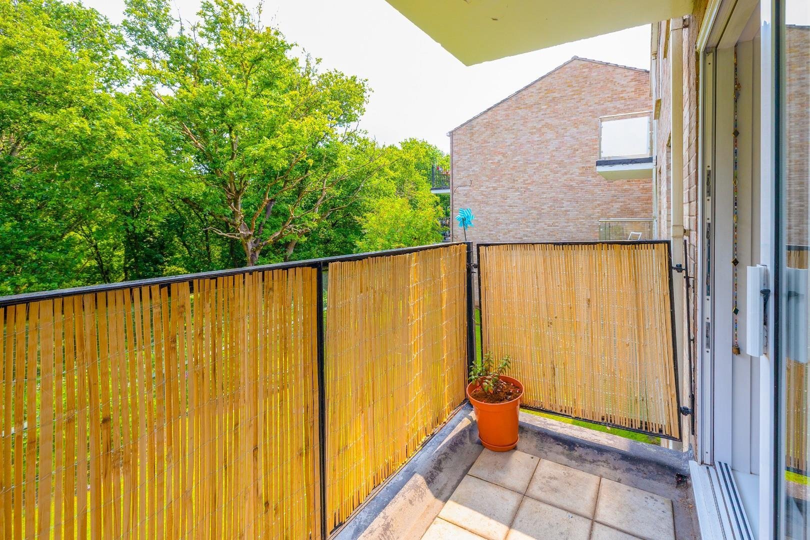 Lincoln court duchess way 33930418 cd7 a1275