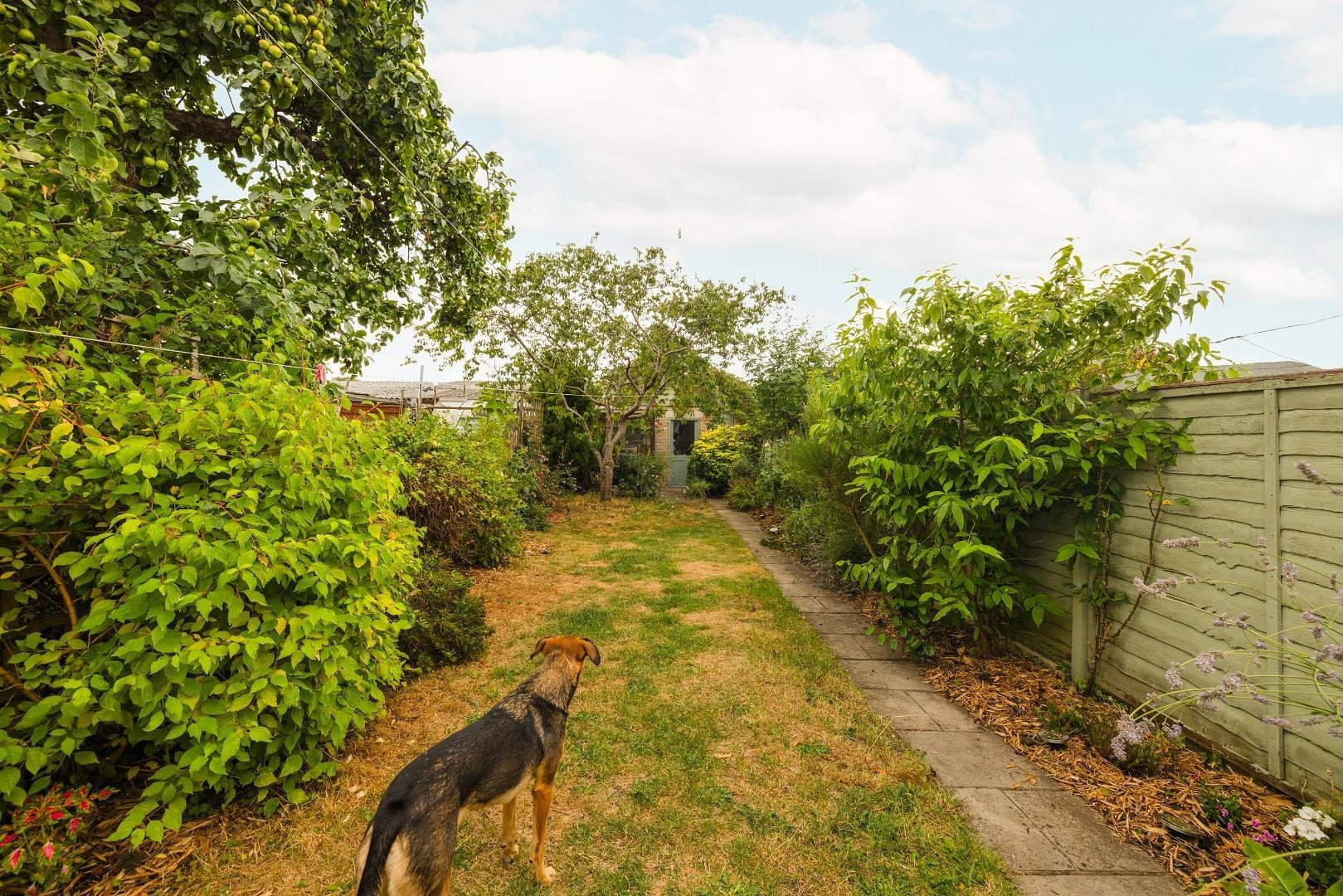 Redfield hill oldland common 34106416 014 a2938