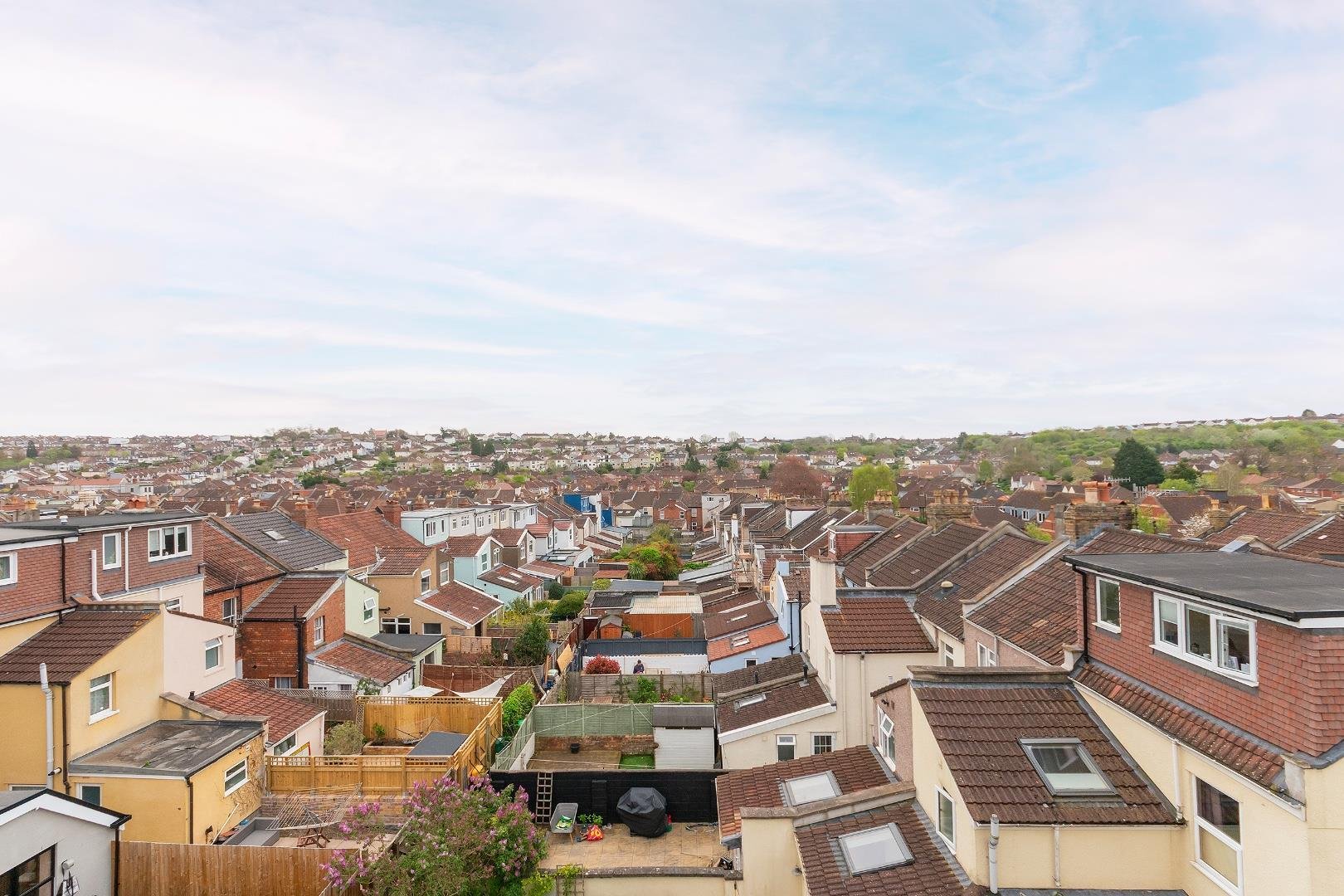 Stanbury road victoria park 34616600 1 s1 rvp loft view b