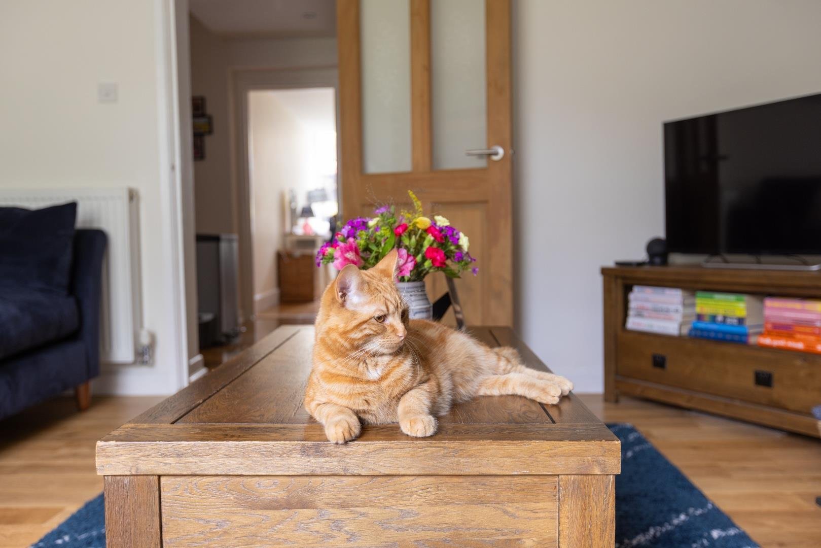 Sydenham hill cotham 33845721 flat 1 17 sydenham hill bs6 15