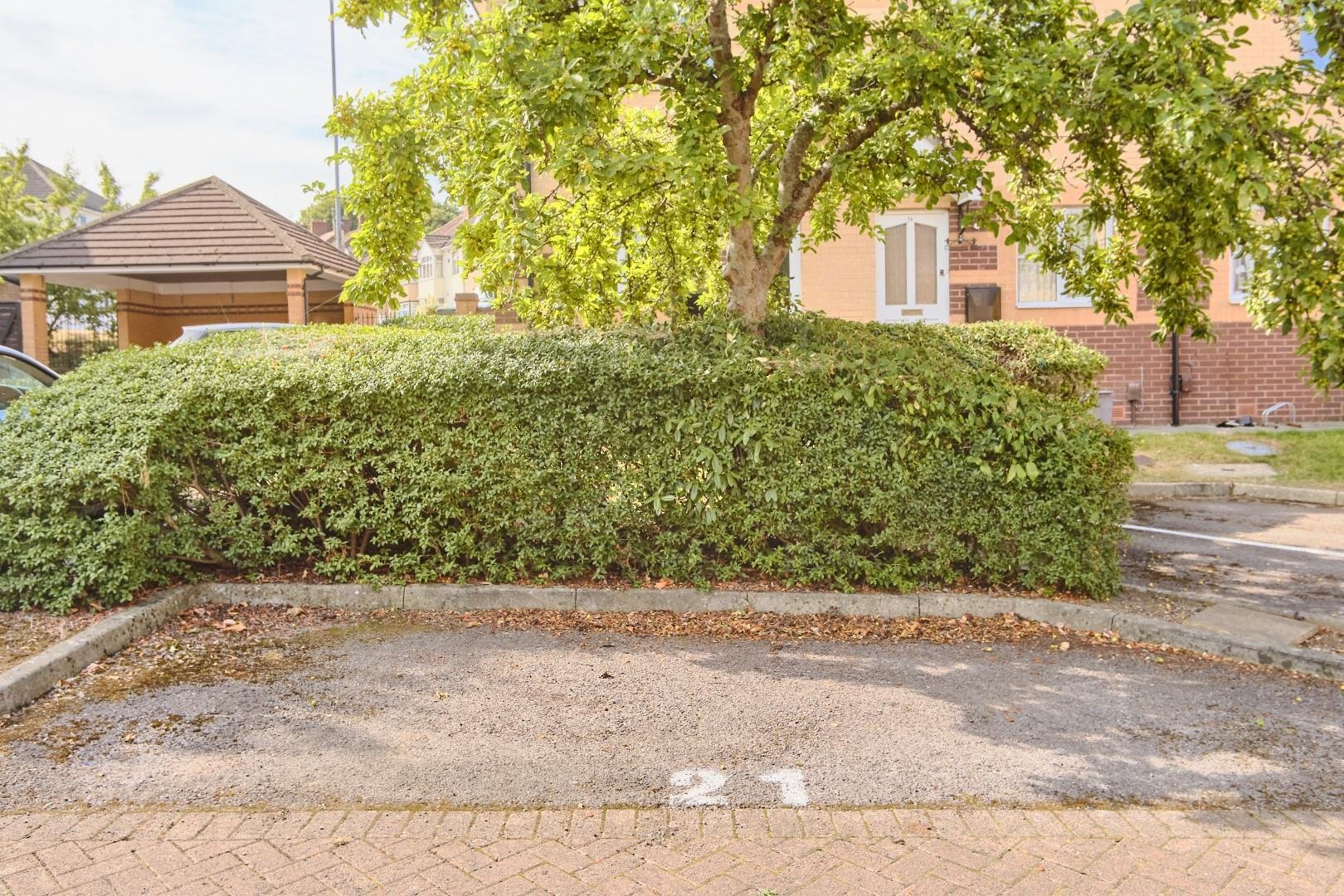 The stepping stones st annes park 34152051 bs44 ey 0010