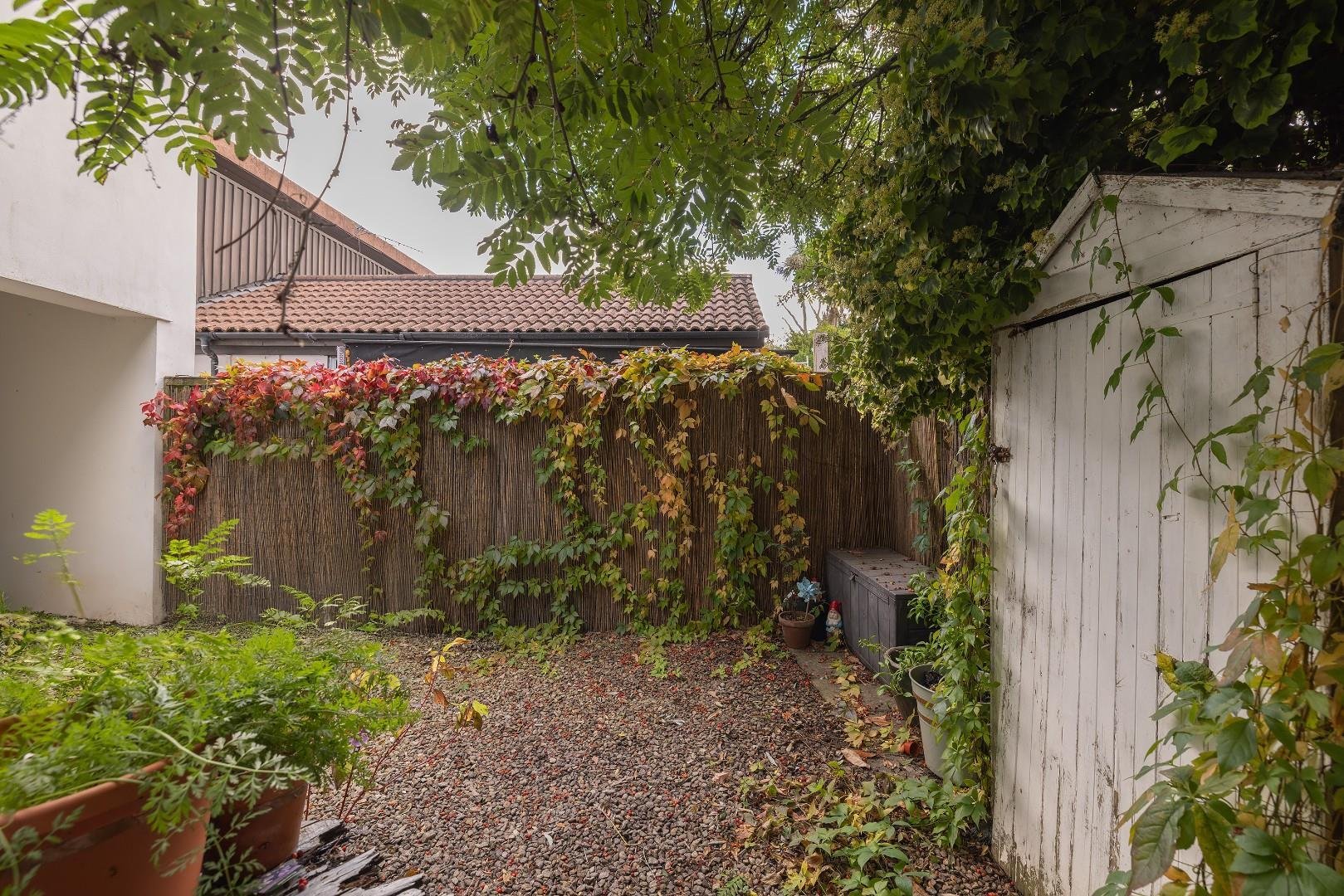 Walter street southville 34237320 014 a0284