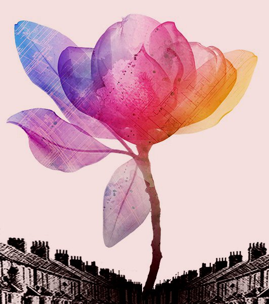 Magnolia Thumbnail