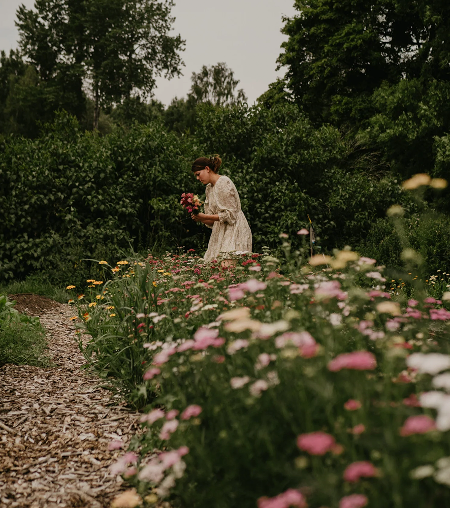 Meadowmix